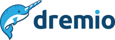 Dremio Formazione in Italia