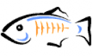 GlassFish Formazione in Italia