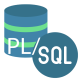 Category for Oracle PL/SQL Formazione in Italia