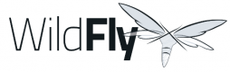 Wildfly Formazione in Italia
